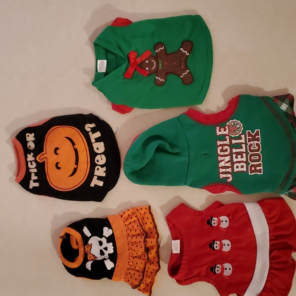 Holiday dog outfits, xs